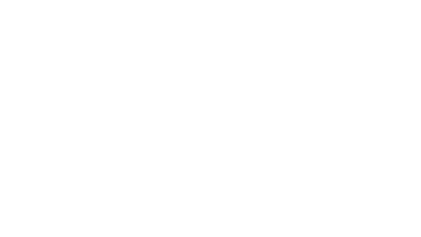 FeniXperience Logo